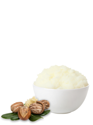 Organic shea butter natural UEBT