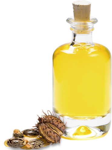 Castor Oil Purchasing: Manufacturer & Supplier B2B | Gustav Heess