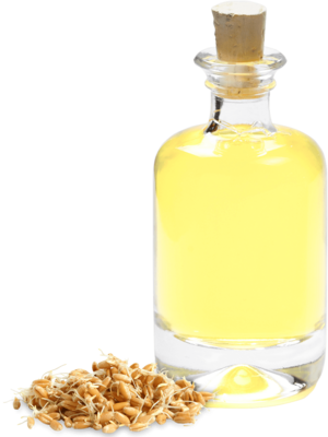 Wheat germ oil refined extracted Food Ph. Eur.