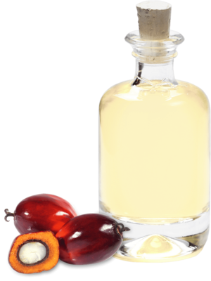 Organic palmkernel oil refined IP CU-RSPO SCC-818895 purchasing
