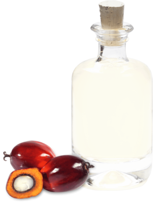 Palm oil hydrogenated SG CU-RSPO SCC-818895