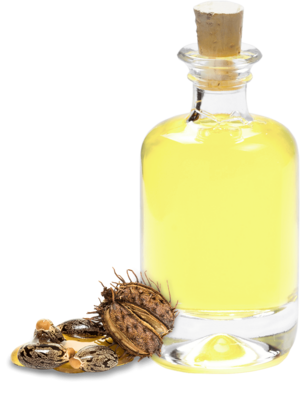 Organic castor oil cold pressed