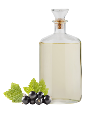 Schwarzes Johannisbeerkernöl raffiniert