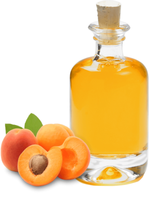 Bio Aprikosenkernöl kaltgepresst