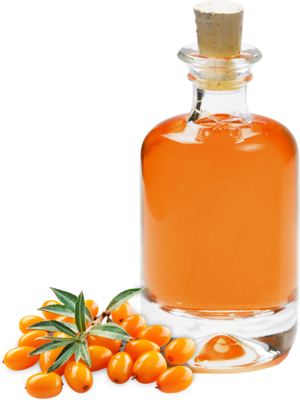 Organic sea buckthorn oil virgin