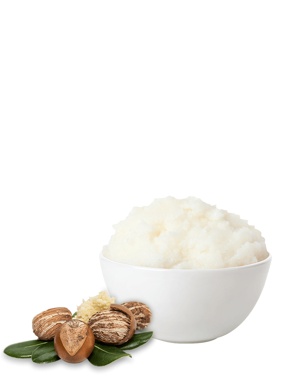 Shea butter pressed and refined purchasing Manufacturer & Supplier B2B