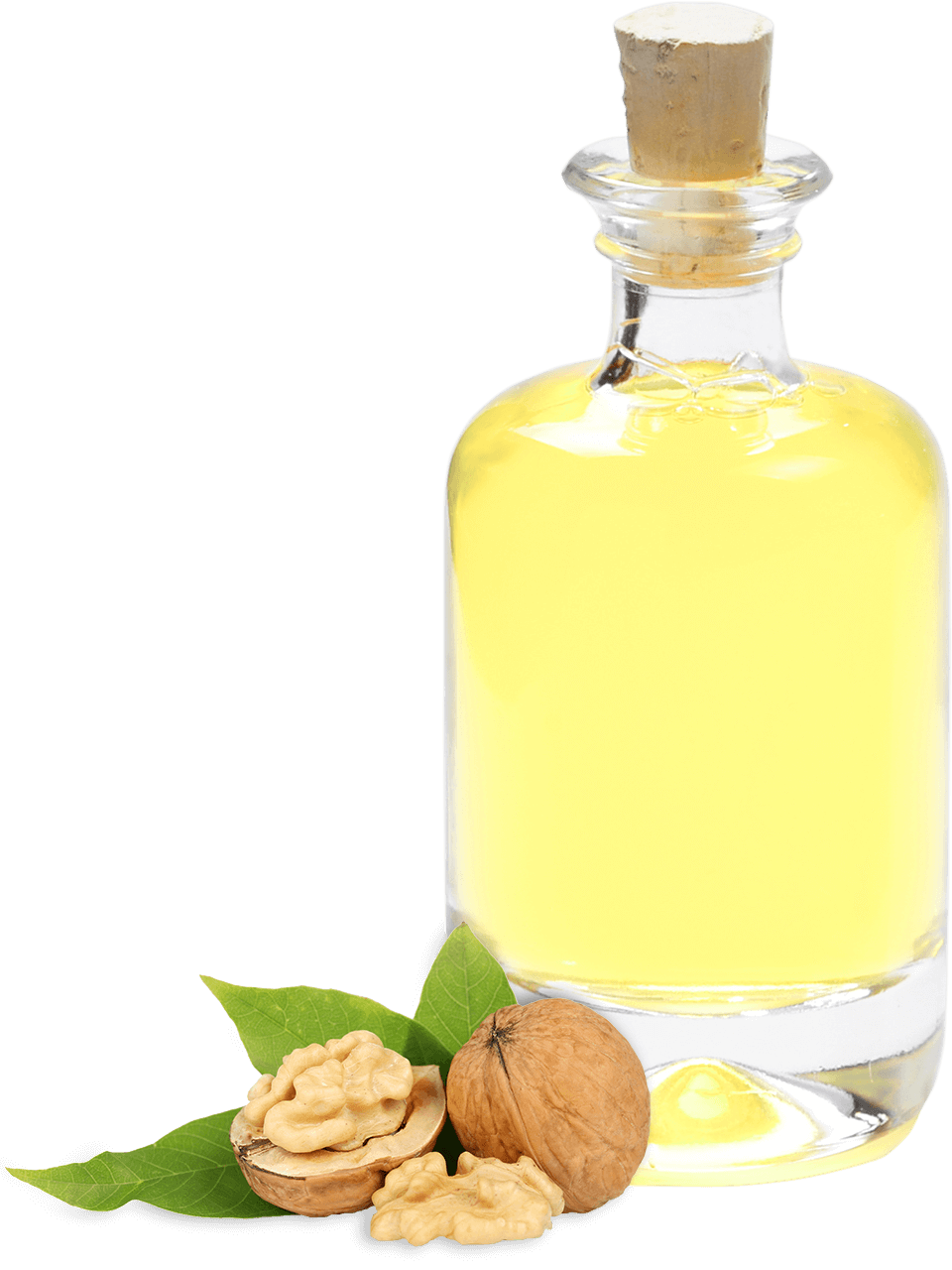 Refined Walnut Oil